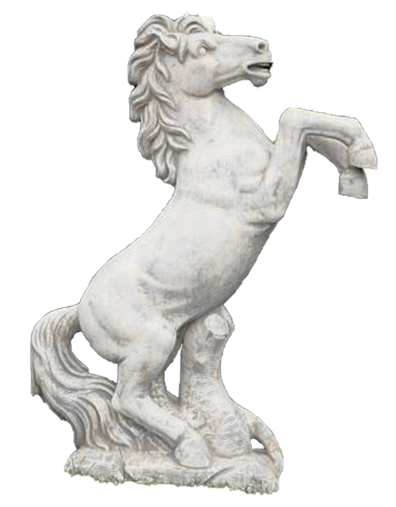 Cavallino