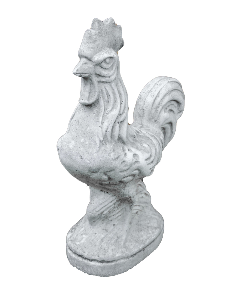 Gallo in cemento