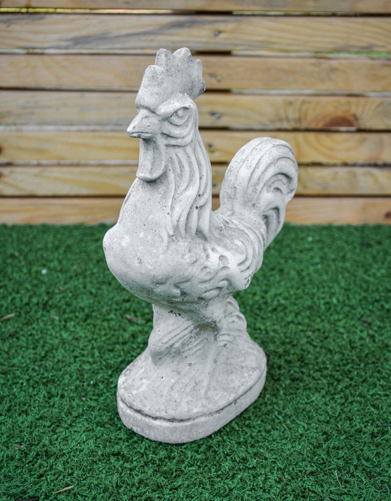 Gallo in cemento