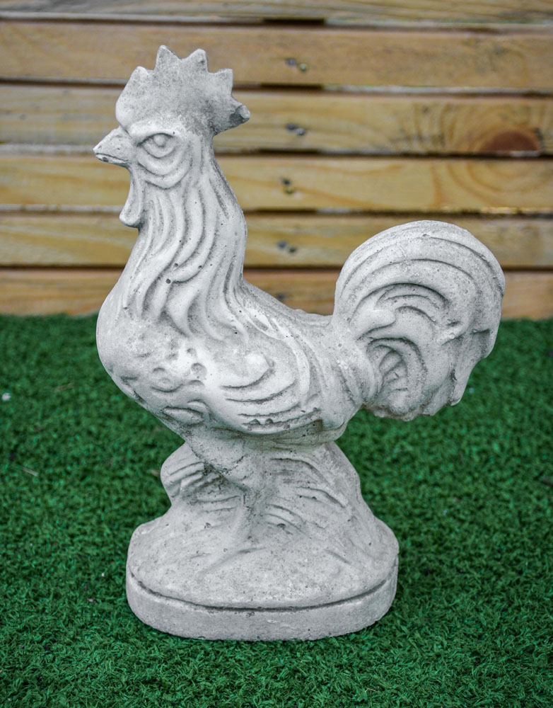 Gallo in cemento