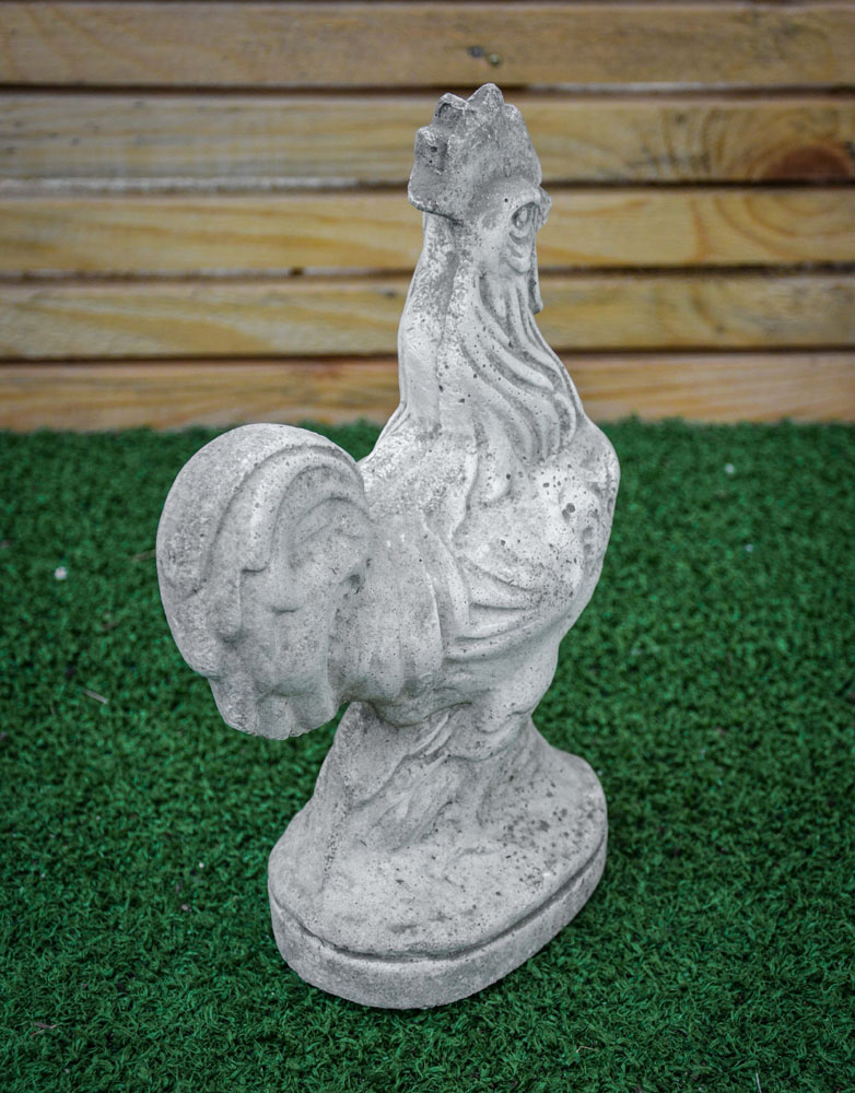 Gallo in cemento