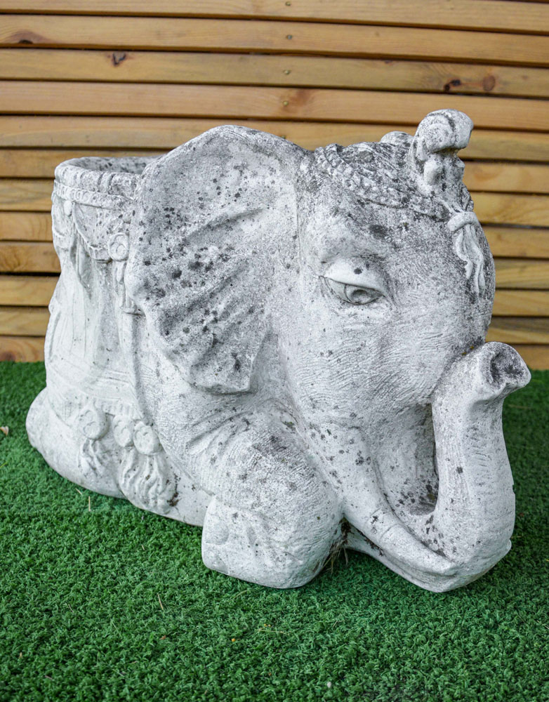 Elefante