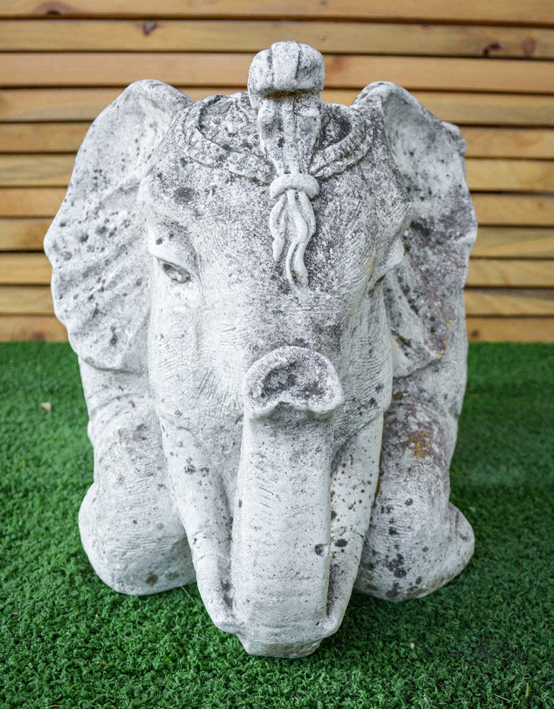 Elefante