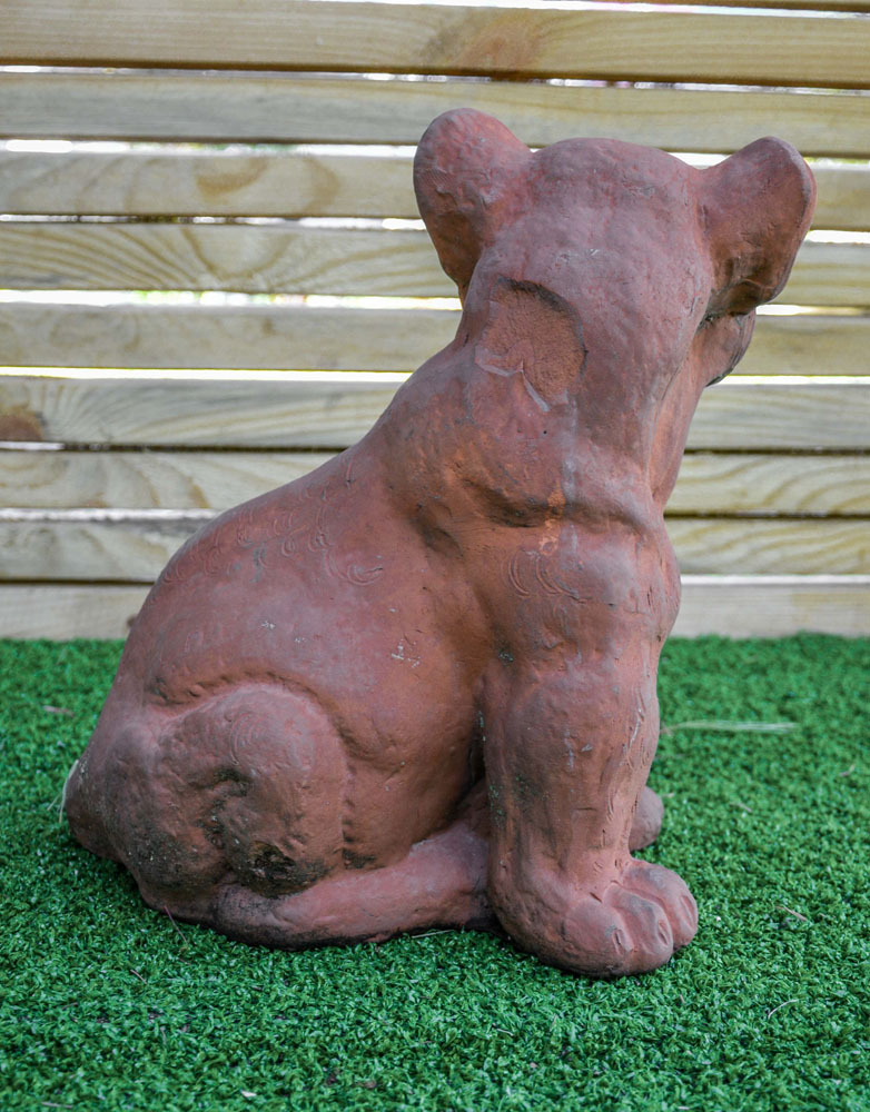 Leone cucciolo in cotto  