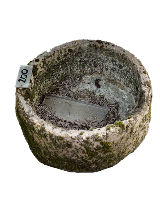 200 Vasca Sasso Rotonda 