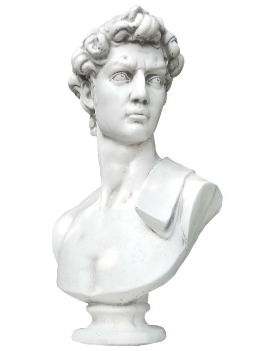 Busto David 