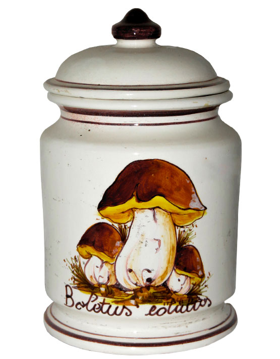 Barattolo Fungo