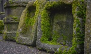 Vasche in sasso: perch&eacute; inserirle nel tuo giardino e come scegliere quella giusta