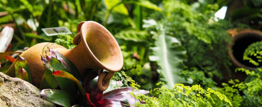 Vasi e orci da giardino: guida alla scelta tra tradizione e design