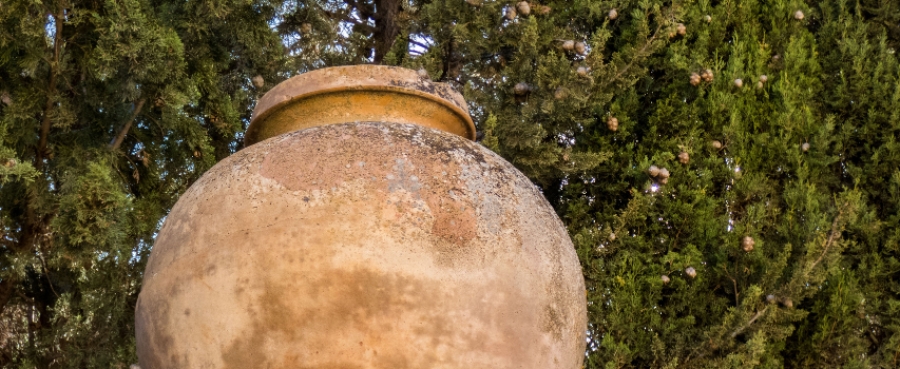 Come scegliere il vaso giusto per l&rsquo;esterno in inverno (materiali, peso, resistenza)