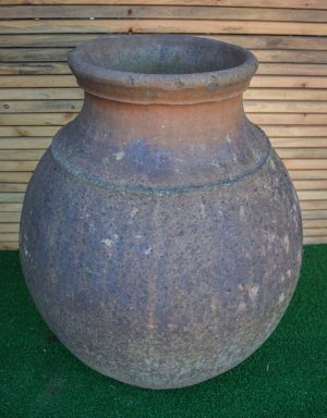 Orcio O1