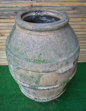 Orcio O12