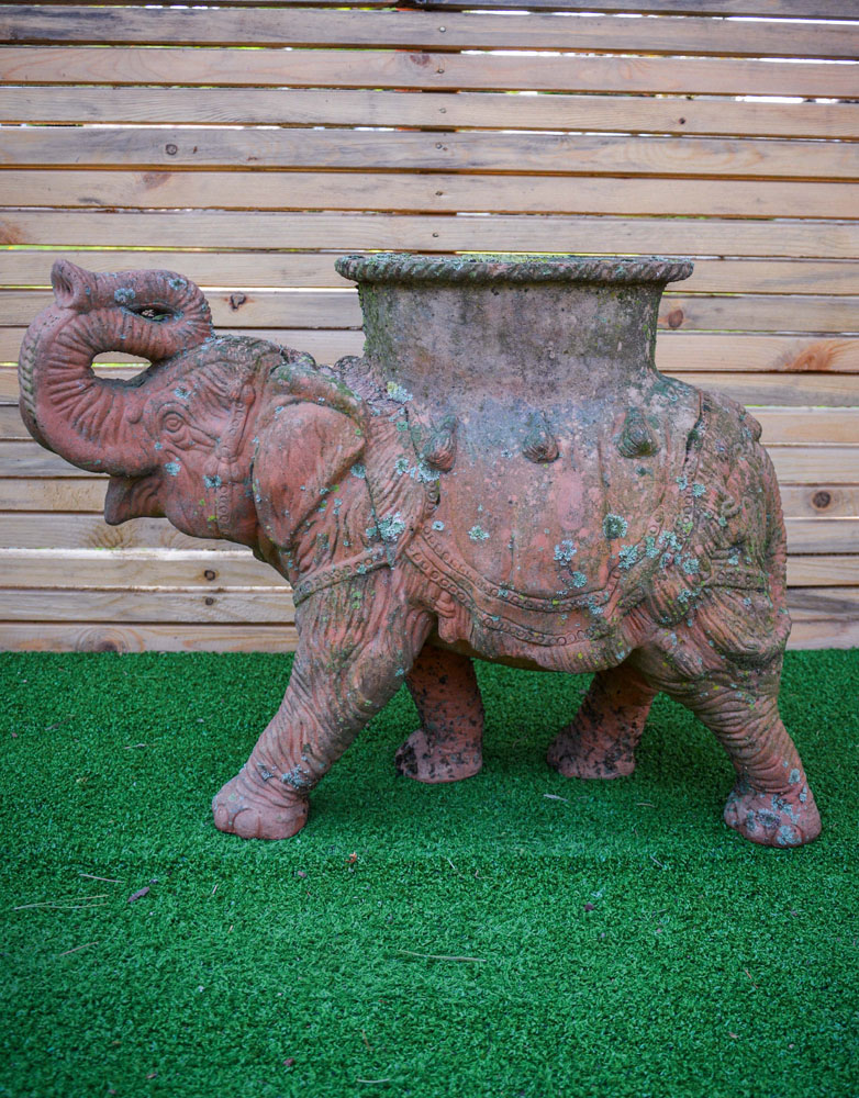 Elefante - immagine 2