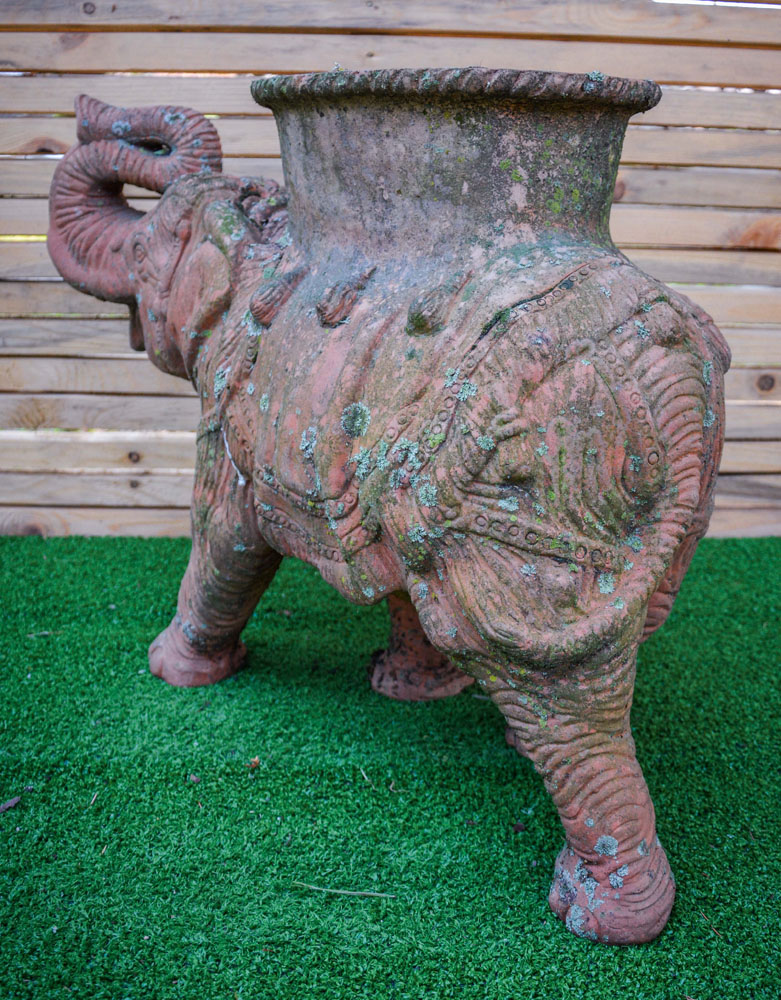 Elefante - immagine 3