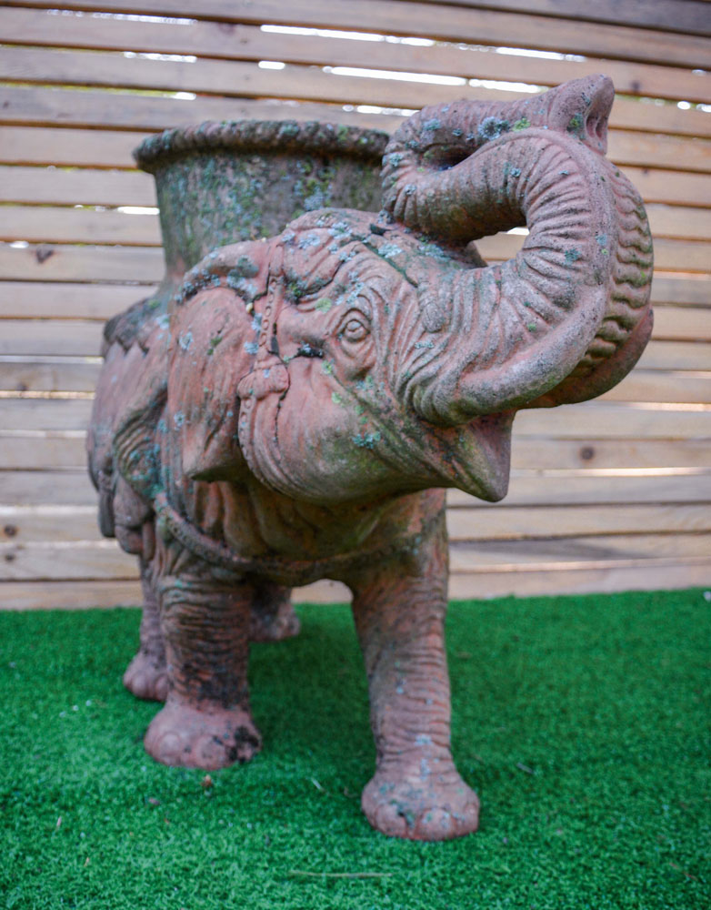 Elefante - immagine 4
