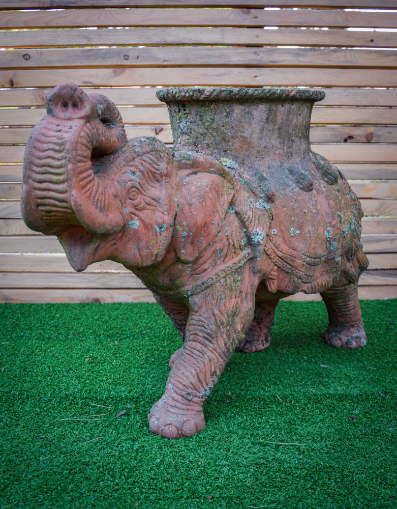 Elefante