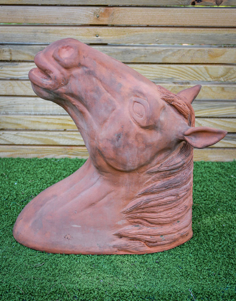 Testa di Cavallo in cotto - immagine 2