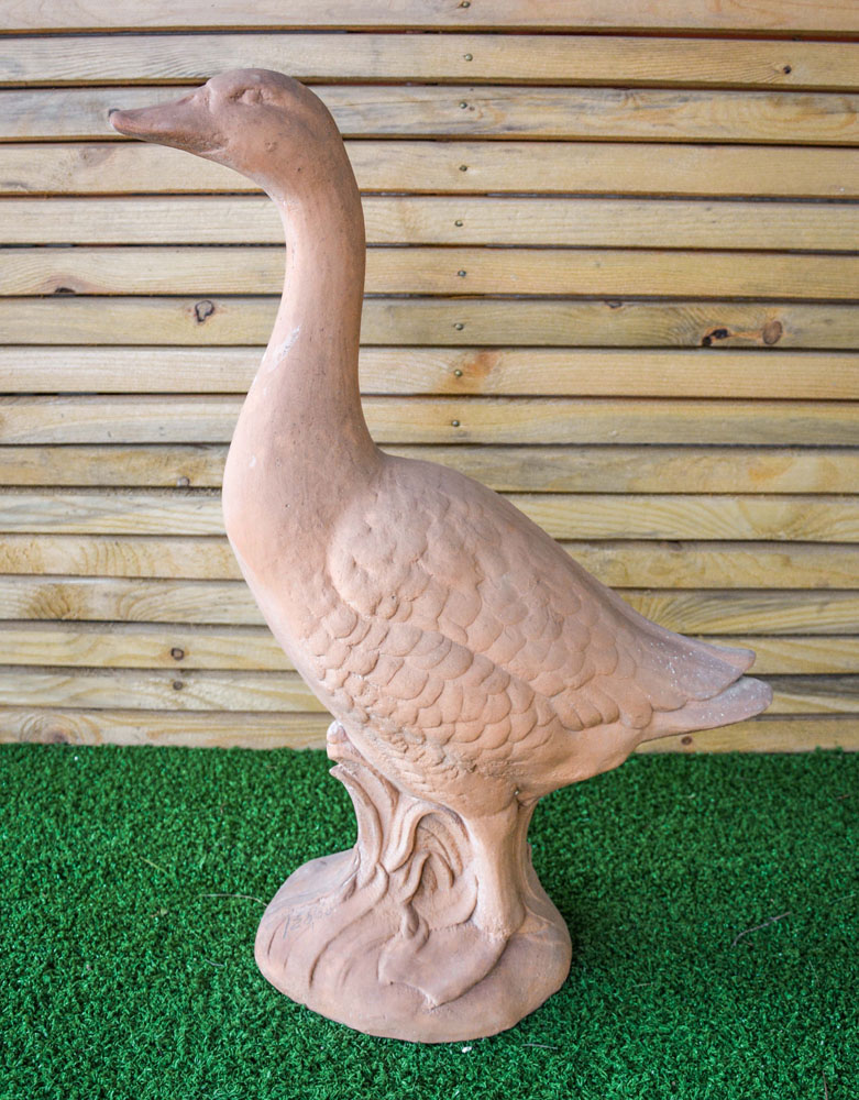Cigno in cotto - immagine 3