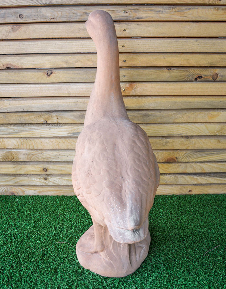 Cigno in cotto - immagine 4