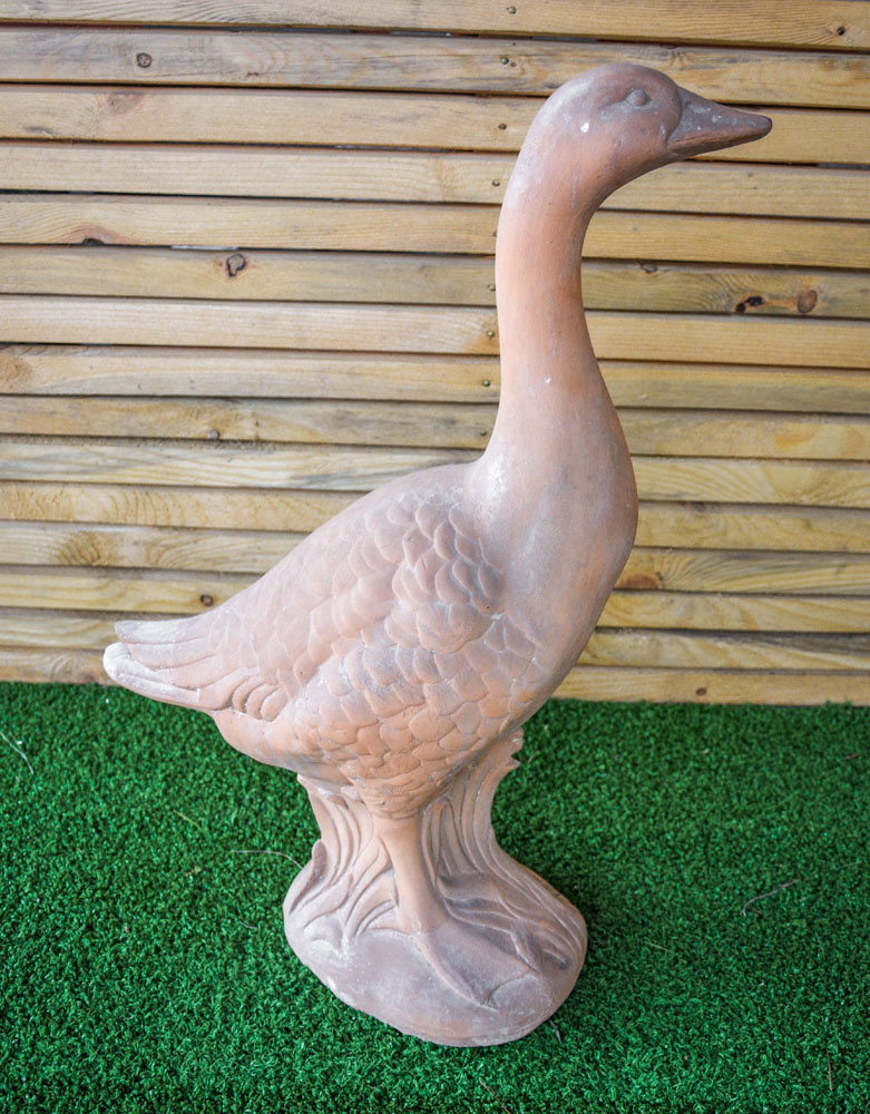Cigno in cotto