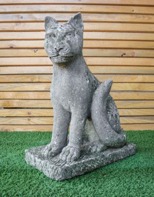 Lince