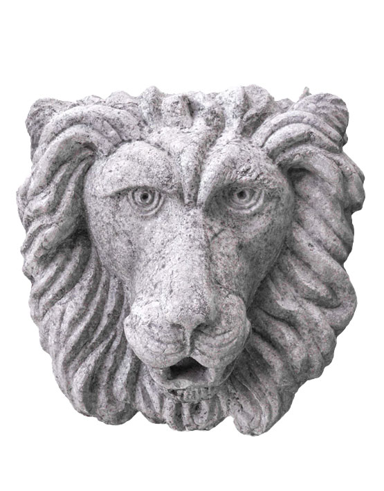 Leone Del Deserto