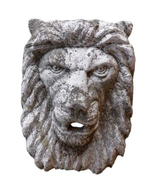 Leone Della Foresta