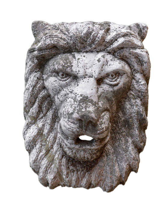 Leone Della Foresta