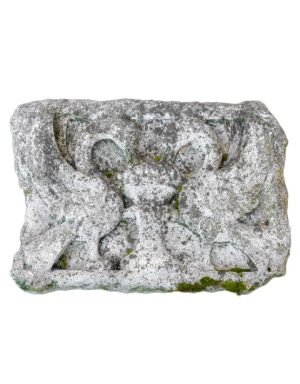 Cigni Innamorati