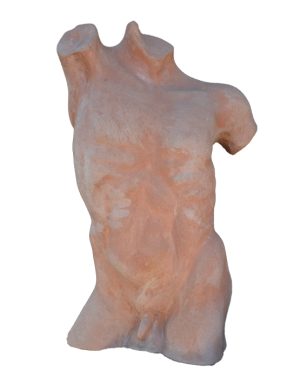 Torso Maschile