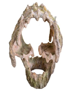 Grotta 22