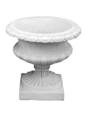 Vaso Salutis