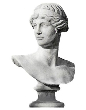 Busto Apollo