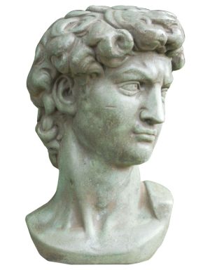 Busto David