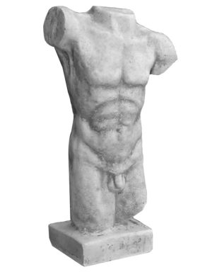 Torso di uomo