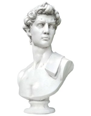 Busto David