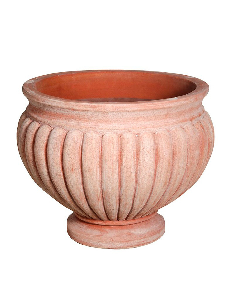 Coppa scannellata