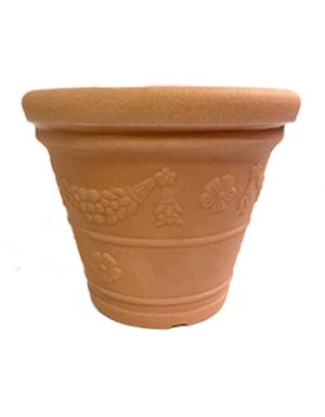 Campana Festonata