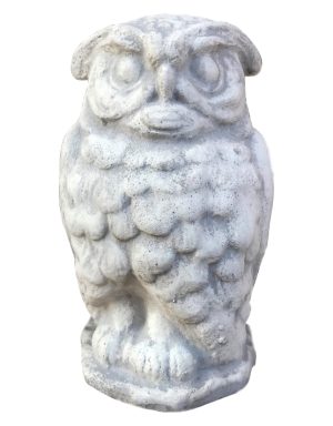 Gufo Reale Piccolo
