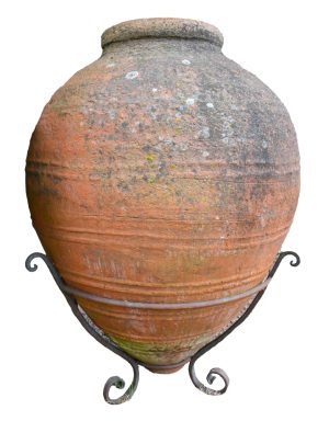 Orcio Carlos