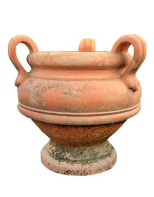 Vaso Elena