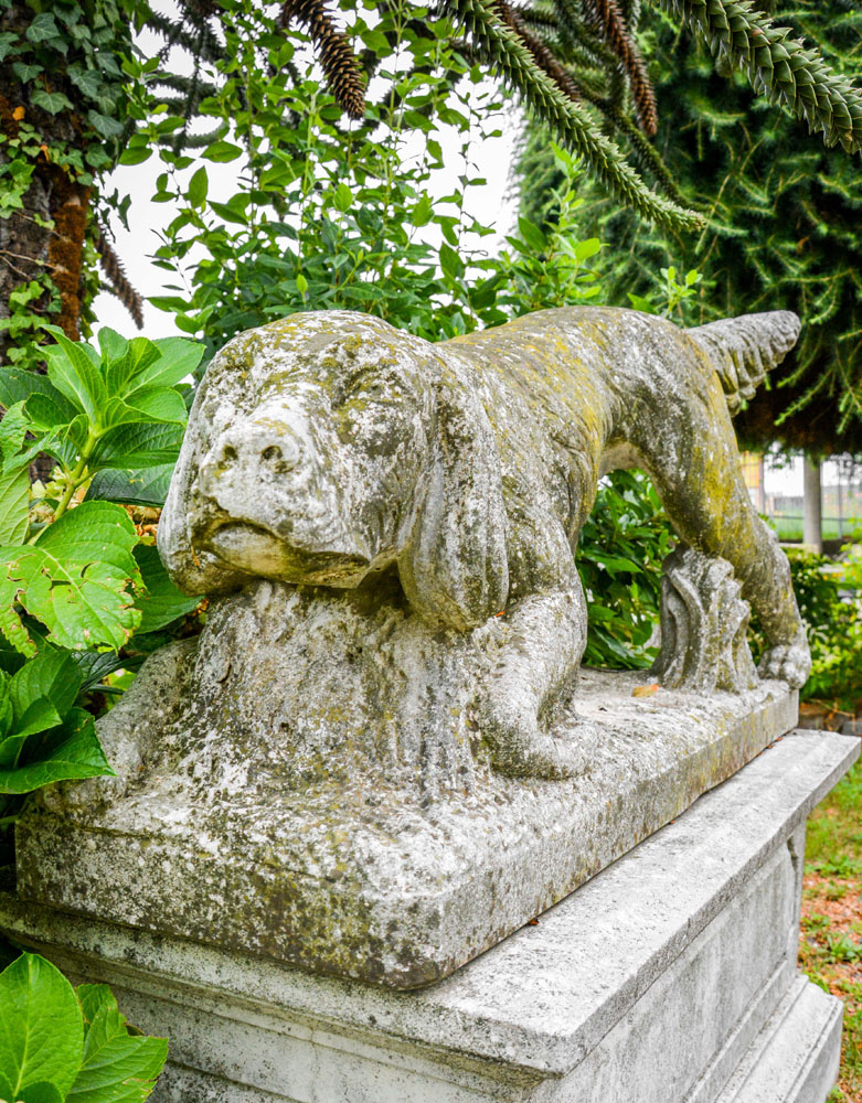 Cane da Caccia - immagine 2