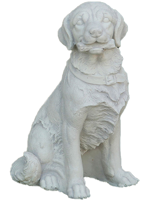Labrador
