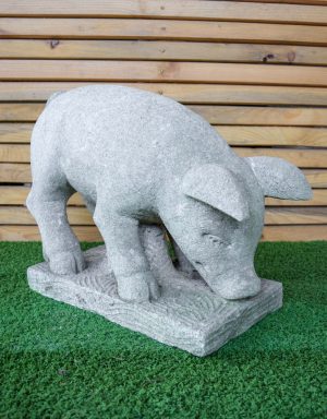 Maialino in Pietra