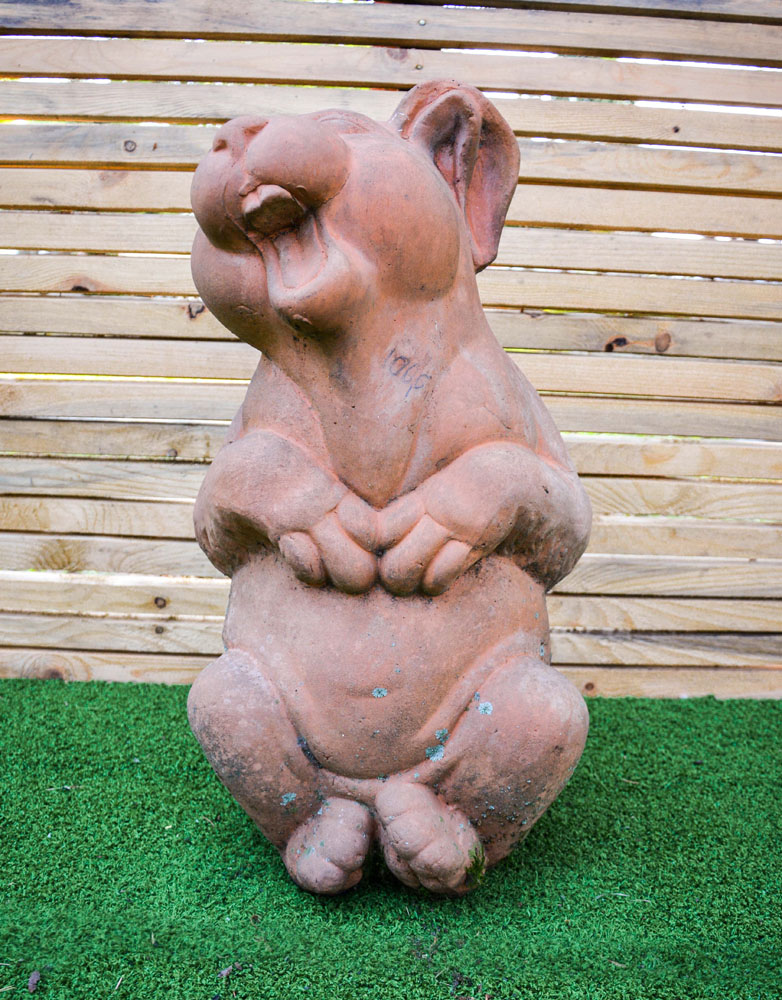 Maialino in Cotto - immagine 2