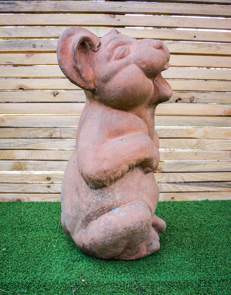 Maialino in Cotto - immagine 3