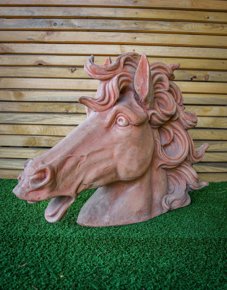 Cavallo in Cotto