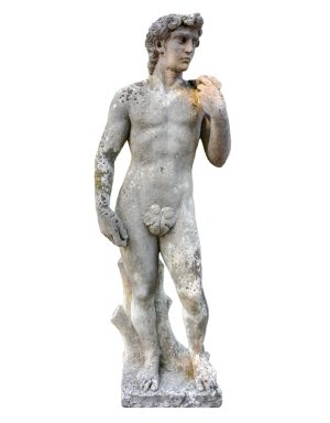 David