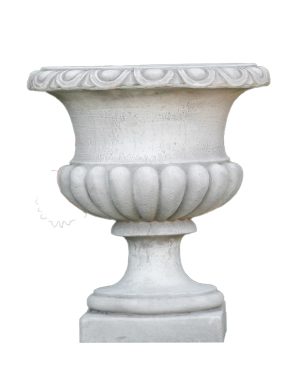 Vaso Celio