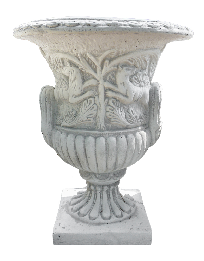Vaso Ibisco
